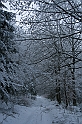 Bieszczady 12.2007 049